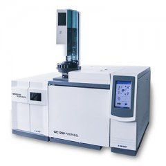 MSQ8100 气相色谱的图?/></a></div> <div class=