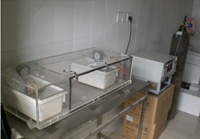 大鼠低氧环境饲养箱，间歇氧实验箱的图?/></a></div> <div class=
