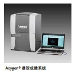 Axygen?凝胶成像系统GD-1000的图?/></a></div>              <div class=