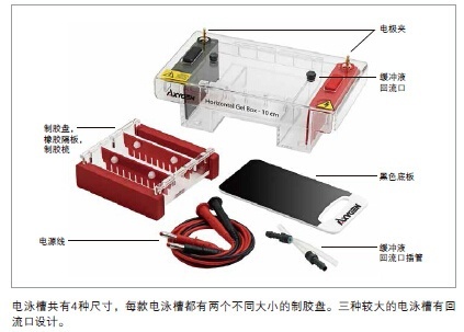 Axygen?水平电泳槽HGB-7的图?/></a></div>              <div class=
