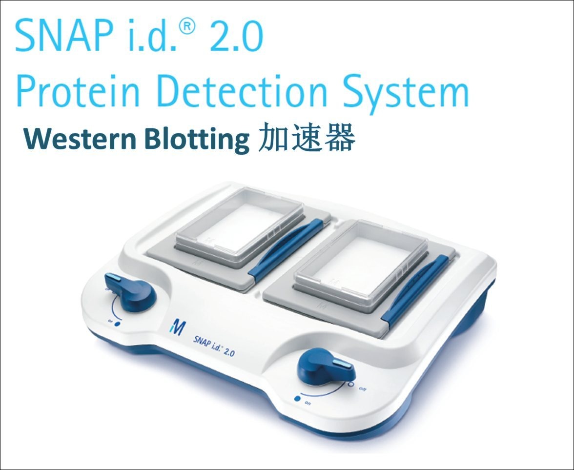 Pharo100可见光型多功能水质分析仪的图?/></a></div> <div class=