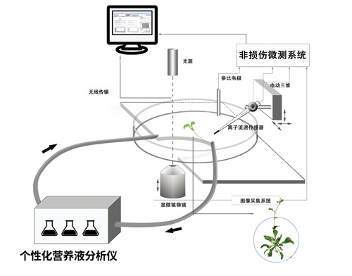 个性化营养液分析仪的图?/></a></div> <div class=