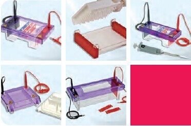 水平凝胶电泳系统Horizontal Gel英国Cleaver的图?/></a></div> <div class=