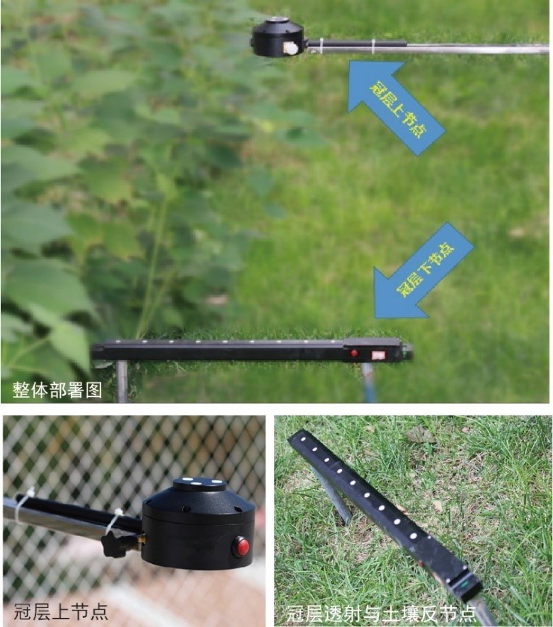 PARNet光合有效辐射的图?/></a></div> <div class=