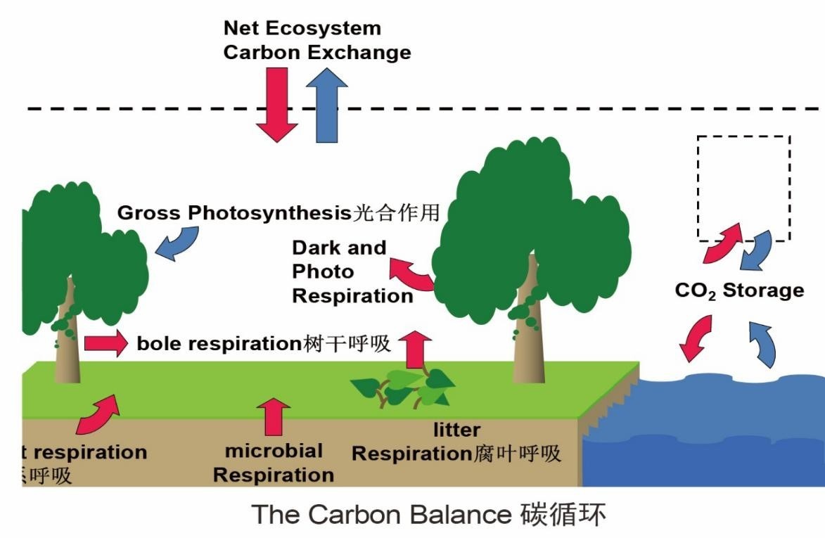 土壤剖面CO2廓线测量系统的图?/></a></div> <div class=