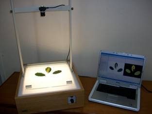 SI-700根系图像分析系统的图?/></a></div> <div class=