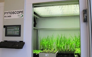 FytoScope FS-SI步入式植物生长箱的图?/></a></div> <div class=