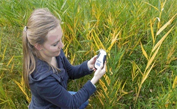 N-Pen植物氮含量测量仪的图?/></a></div> <div class=