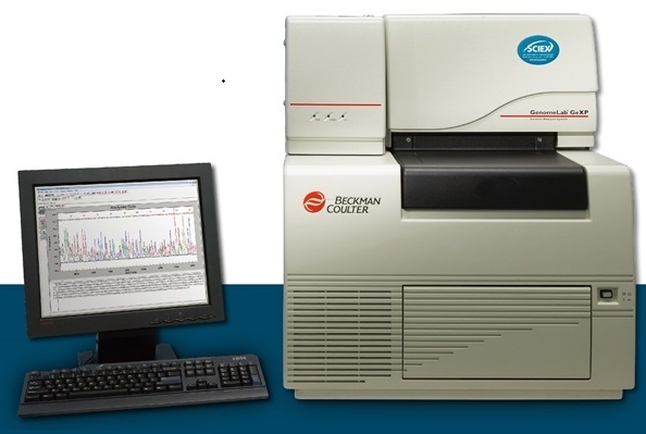 美国Sciex遗传分析系统GenomeLab GeXP的图?/></a></div> <div class=