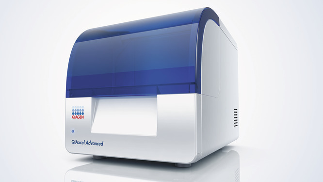 QIAxcel Advanced全自动核酸分析系?002123的图?/></a></div></div></div>         <div class=