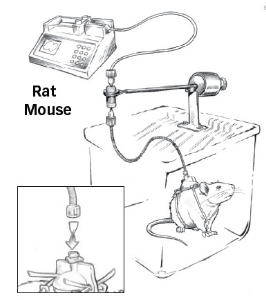 清醒动物灌注给药系统的图?/></a></div> <div class=
