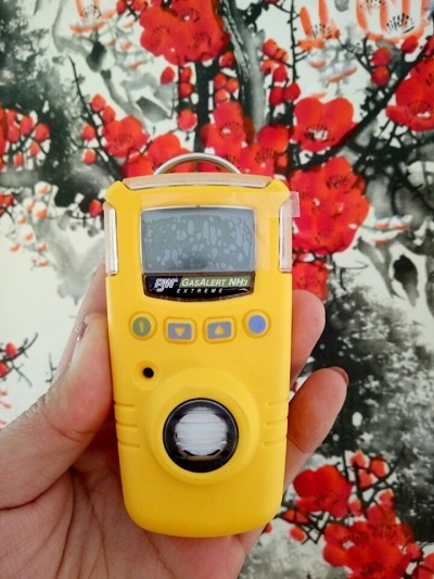 加拿大BW GAXT-M一氧化碳检测仪的图?/></a></div> <div class=
