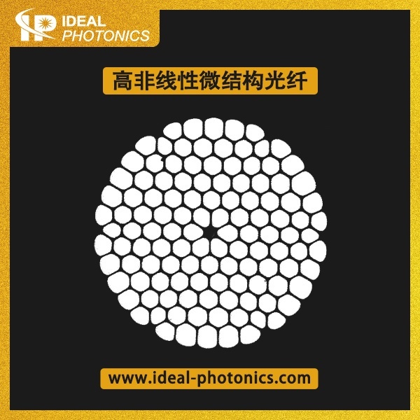 高非线性微结构光纤的图?/></a></div> <div class=