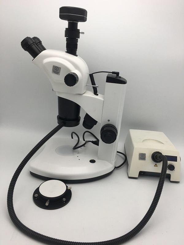 体视显微镜KOSTER SMC 900T的图?/></a></div> <div class=