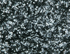 天然鳞片石墨的图?/></a></div> <div class=