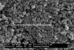 纳米铁粉 50nm 99.9% 的图?/></a></div> <div class=