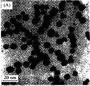 纳米钯黑 10nm 99.9%的图?/></a></div> <div class=