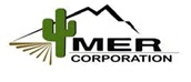 MER碳纳米管的图?/></a></div>              <div class=