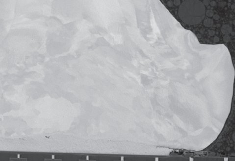 ΢ͼƬ_20231121084024.png
