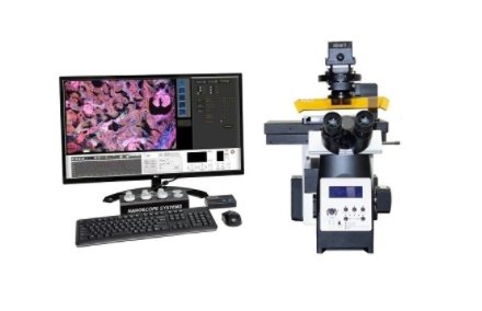 110733_093995_gsdt.png 444.png