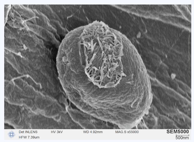 170849_644433_gsdt.png image.png