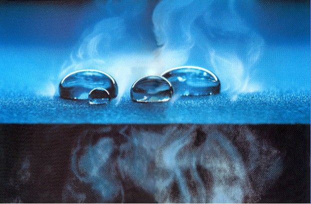 081236_279955_gsdt.jpg R-C (15).jpg