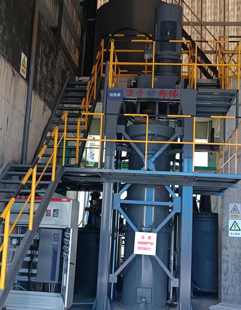 080802_325239_gsdt.jpg 细胞 3.jpg