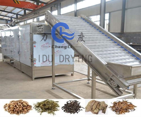 瓜子网带干燥? style=