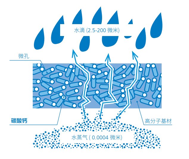 080757_867739_gsdt.png 微信图片_20231018095428.png